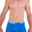 Baskit Blue Billy Boy Low Rise Trunk