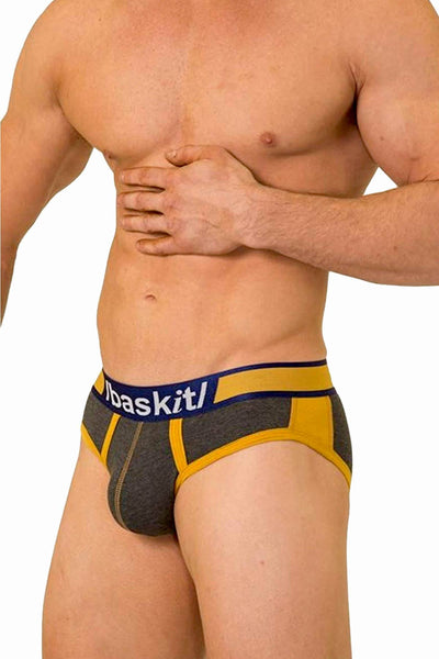 Baskit Cement America Brief