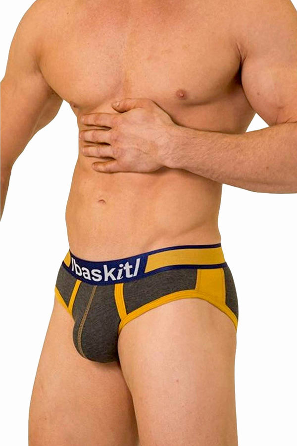 Baskit Cement America Brief