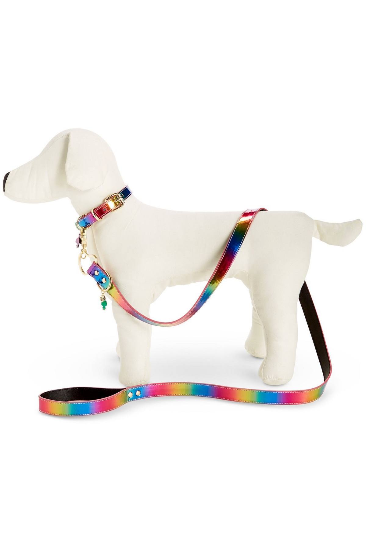 Betsey Johnson Metallic-Rainbow Dog Leash