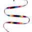 Betsey Johnson Metallic-Rainbow Dog Leash