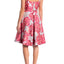 Betsey Johnson Pink/Silver-Shimmer Floral Jacquard Fit & Flare Party Dress
