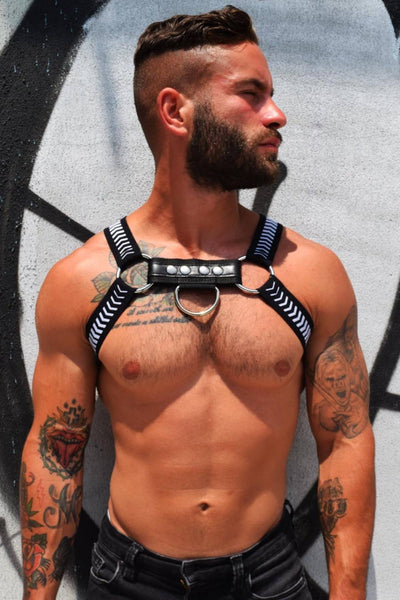 Breedwell Black Hazard Circuit Harness with D-Ring