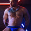 Breedwell Blue Brut Jock