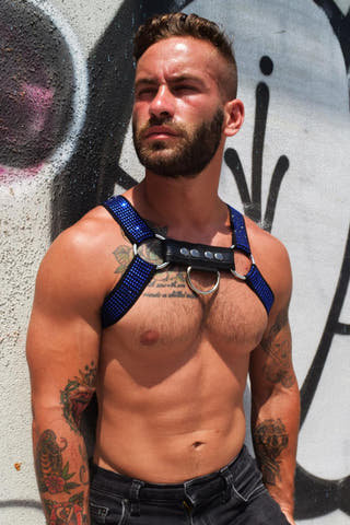 Breedwell Blue CIRCUIT HARNESS - WITH D-RING