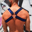 Breedwell Blue CIRCUIT HARNESS - WITH D-RING