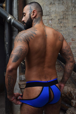 Breedwell Blue Moneymaker Brief thumbnail 2