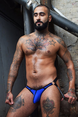 Breedwell Blue Moneymaker Jock thumbnail 1