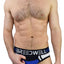 Breedwell Blue Moto Brief