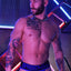 Breedwell Blue New School Jock