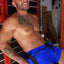 Breedwell Blue Regulator Short