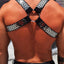 Breedwell Chrome Circuit Harness