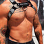 Breedwell Chrome Circuit Harness