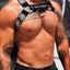 Breedwell Chrome Circuit Harness