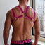 Breedwell Neon Pink Blacklight Circuit Harness