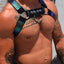 Breedwell Oilslick Cicuit Harness