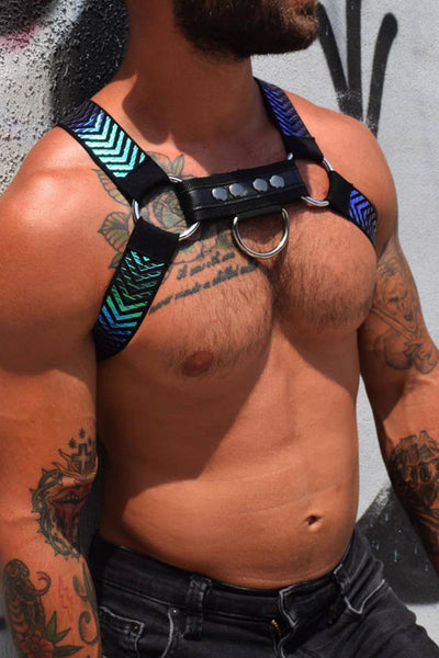 Breedwell Oilslick Cicuit Harness