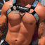 Breedwell Rainbow Circuit Harness