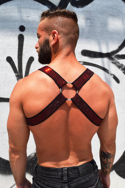 Breedwell Red CIRCUIT HARNESS - WITH D-RING thumbnail 2
