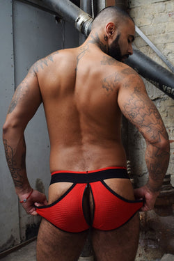 Breedwell Red Moneymaker Brief thumbnail 2