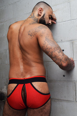 Breedwell Red Moneymaker Brief thumbnail 4