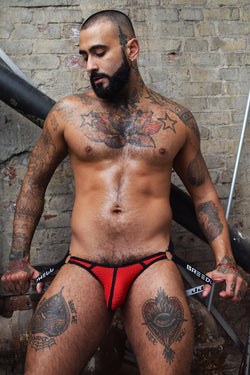 Breedwell Red Moneymaker Jock thumbnail 3
