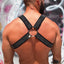 Breedwell Silver CIRCUIT HARNESS - WITH D-RING