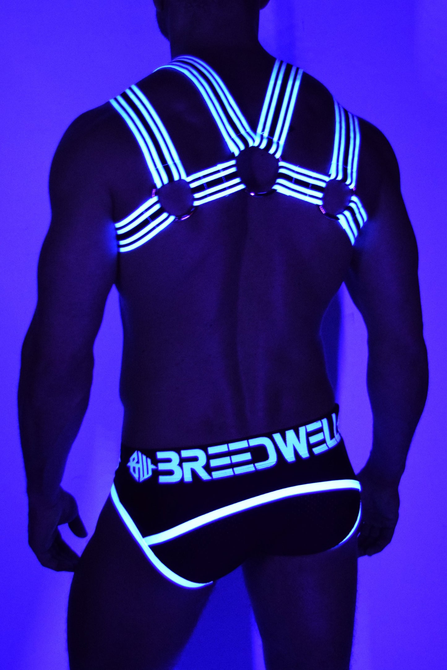 Breedwell White Blacklight Circuit Harness