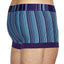 C-IN2 Amethyst-Stripe Spectrum Trunk