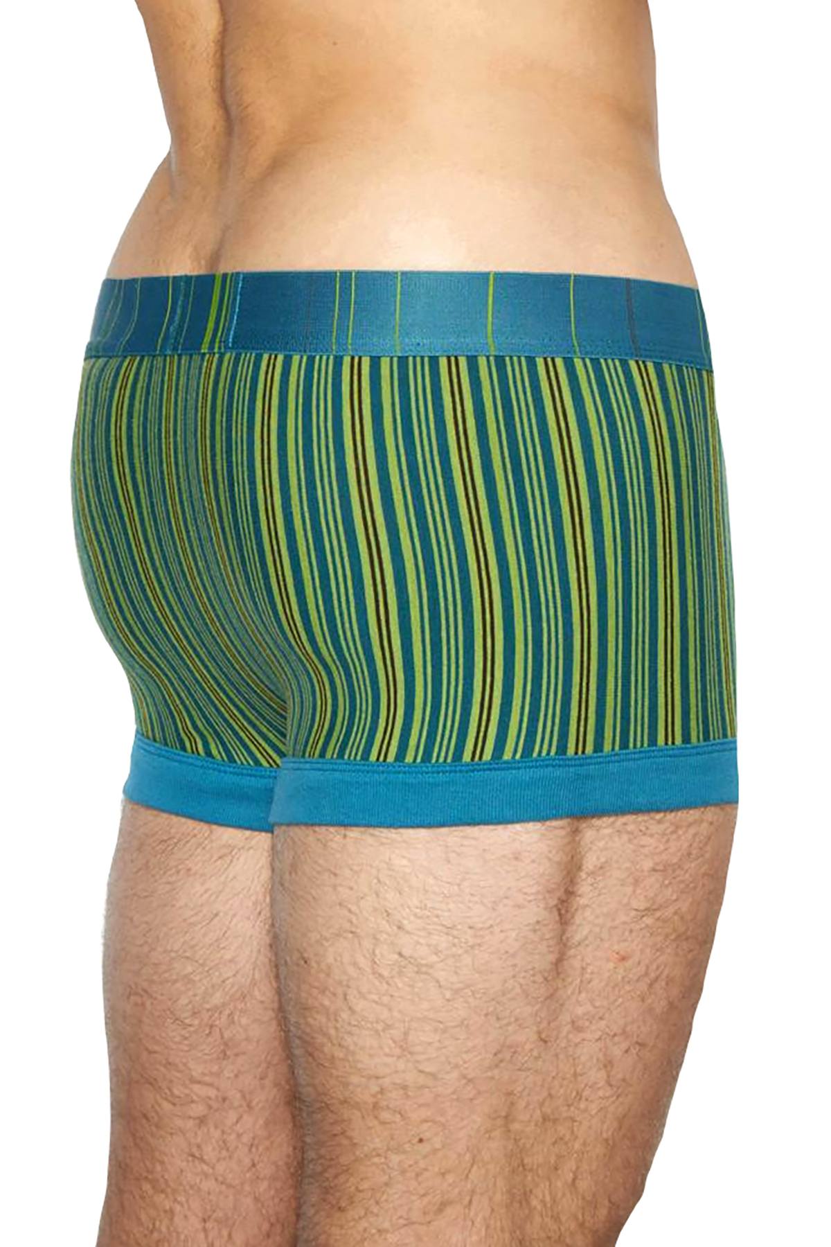 C-IN2 Benjamin-Blue Striped Spectrum Trunk