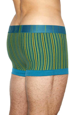 C-IN2 Benjamin-Blue Striped Spectrum Trunk thumbnail 3