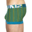 C-IN2 Benjamin-Blue Striped Spectrum Trunk