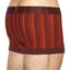 C-IN2 Dubonnet-Stripe Spectrum Trunk