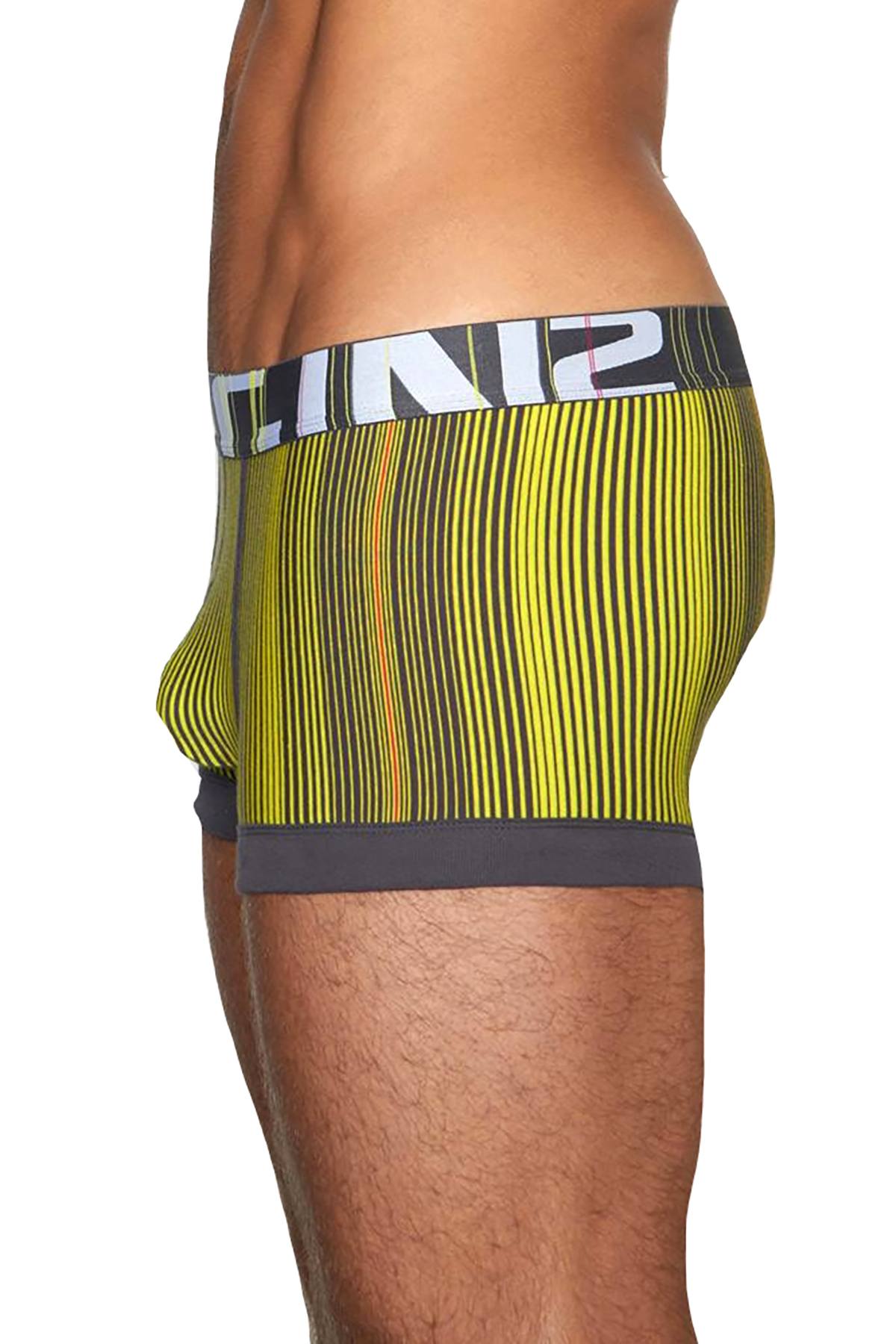 C-IN2 Porpoise-Grey Spectrum Trunk