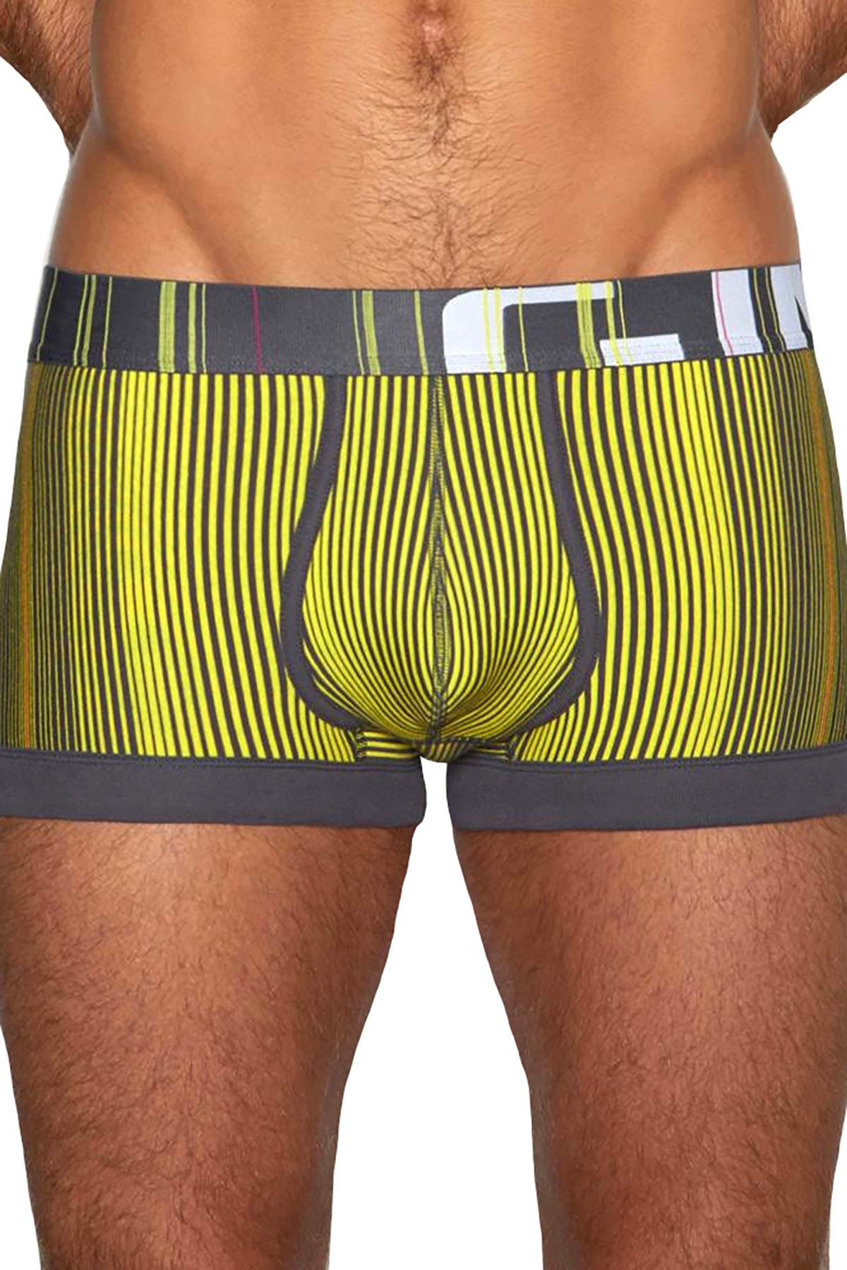 C-IN2 Porpoise-Grey Spectrum Trunk