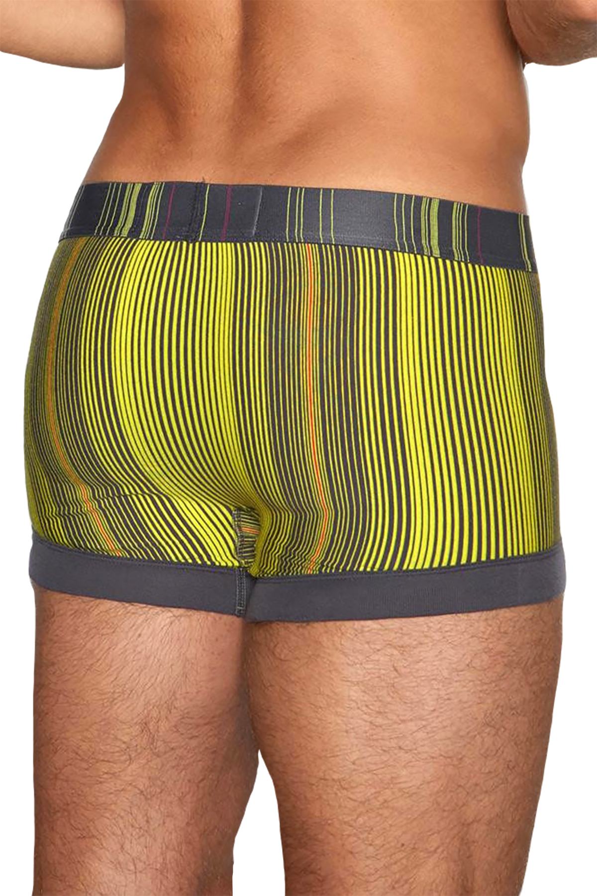 C-IN2 Porpoise-Grey Spectrum Trunk