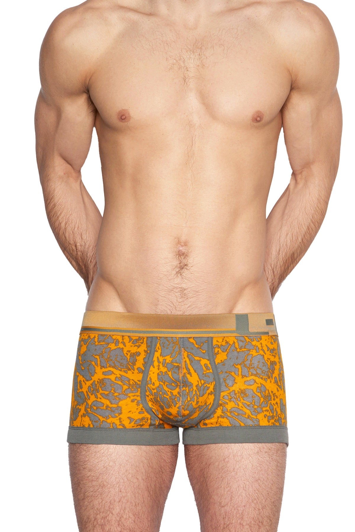 C-IN2 Pumice Grey Rust Oxide Trunk