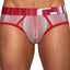 C-IN2 Rhubarb-Red Spectrum Low-Rise Brief