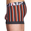 C-IN2 Rolex-Grey Striped Spectrum Trunk