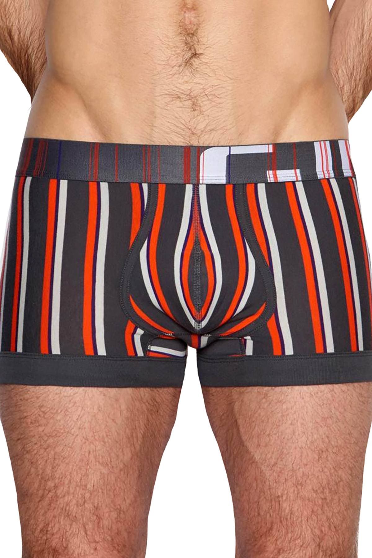 C-IN2 Rolex-Grey Striped Spectrum Trunk