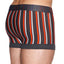 C-IN2 Rolex-Grey Striped Spectrum Trunk