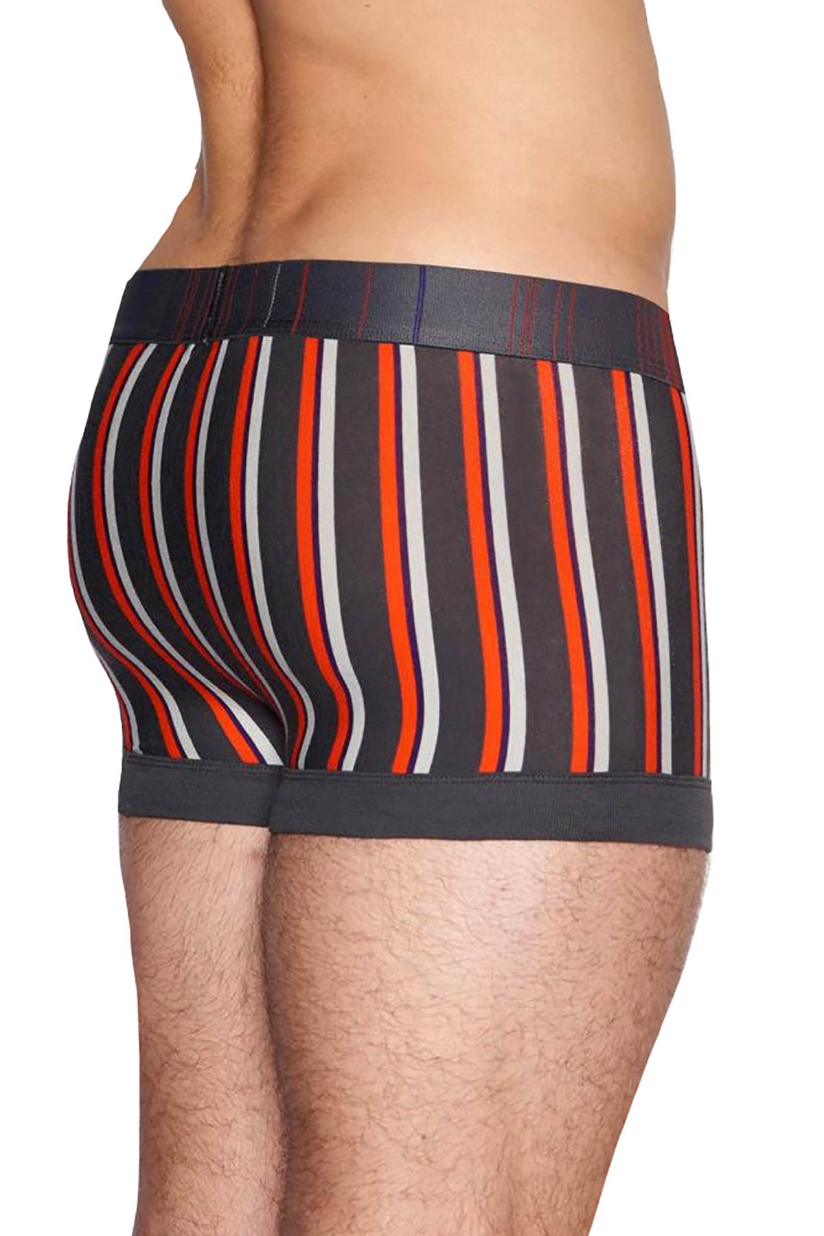 C-IN2 Rolex-Grey Striped Spectrum Trunk
