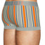 C-IN2 Sailing-Grey Striped Spectrum Trunk