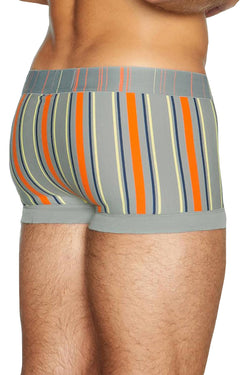 C-IN2 Sailing-Grey Striped Spectrum Trunk thumbnail 3