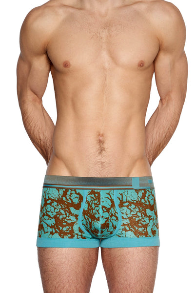 C-IN2 Spume Green Rust Oxide Trunk