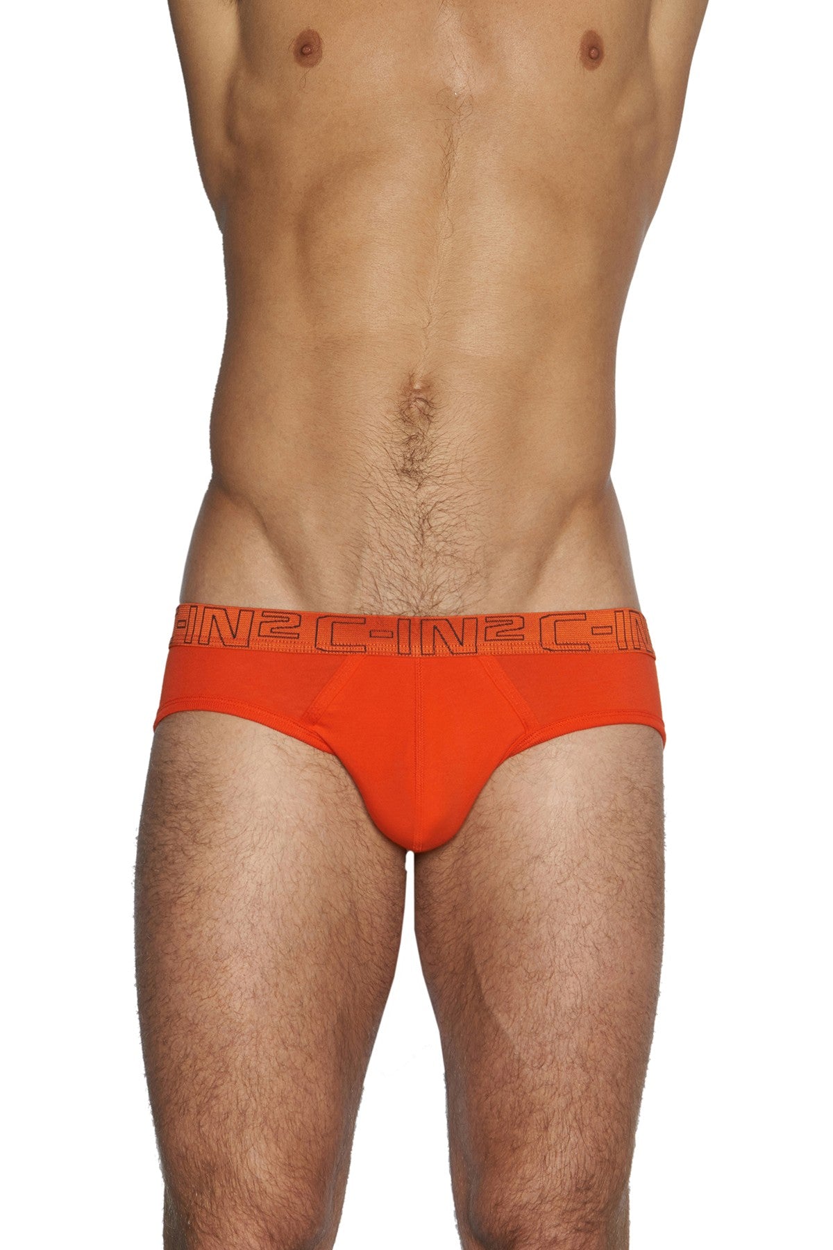C-IN2 Wild-Fire/Chain-Grey Low Rise Brief 2-Pack