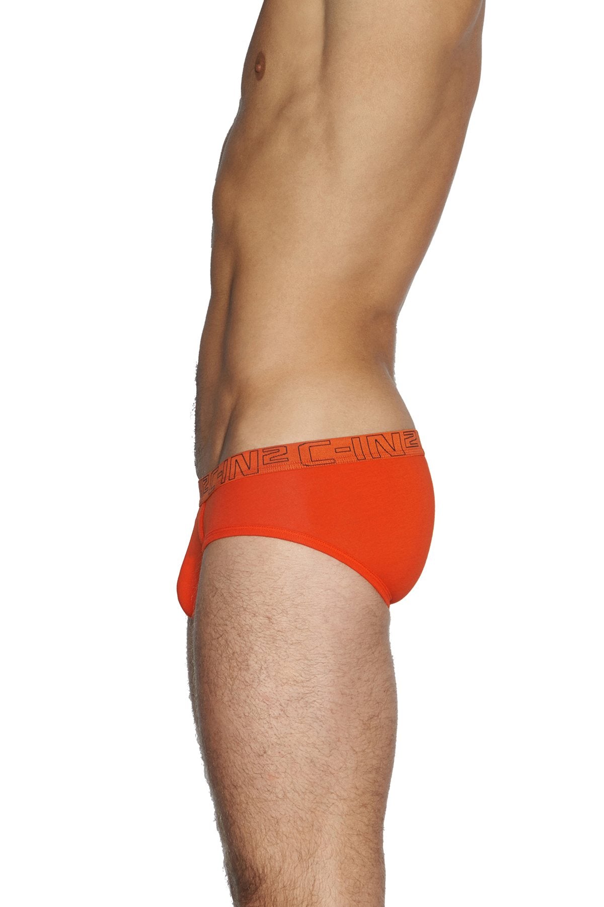 C-IN2 Wild-Fire/Chain-Grey Low Rise Brief 2-Pack