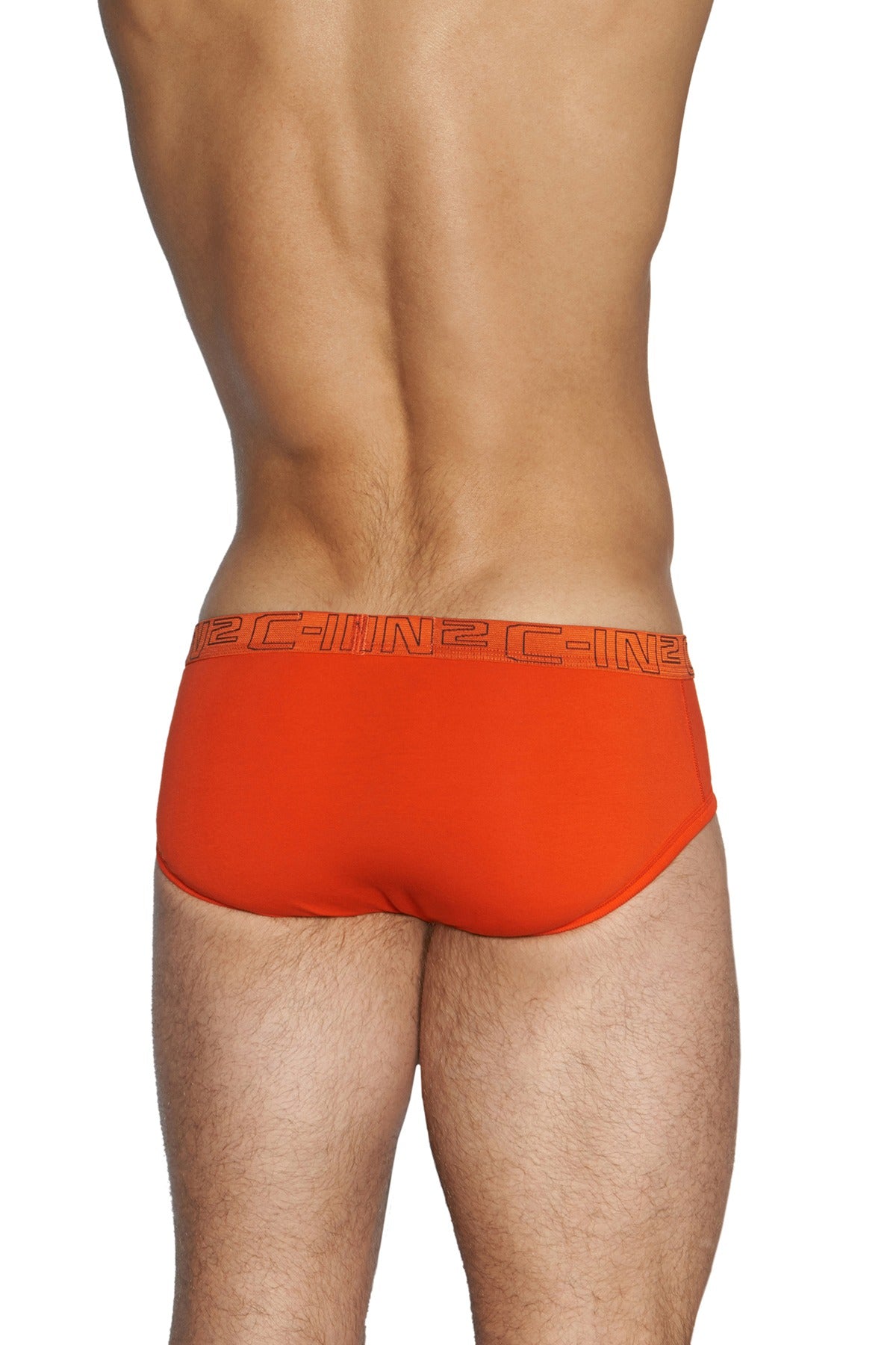 C-IN2 Wild-Fire/Chain-Grey Slash Mid-Rise Brief 2-Pack