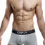 C4M Grey Elemental Trunk