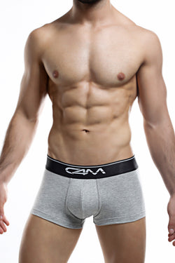 C4M Grey Elemental Trunk thumbnail 1